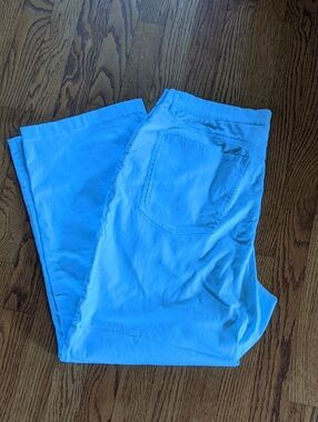 Talbots Light Blue Stretch Cotton Pants Size 16